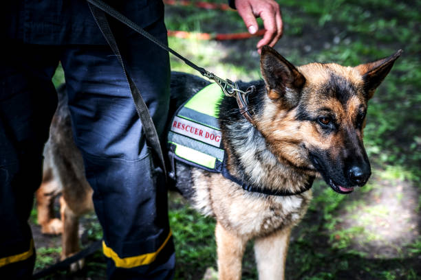 K9 Units