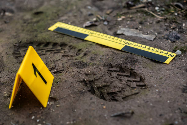 Investigations & Risk Assessments